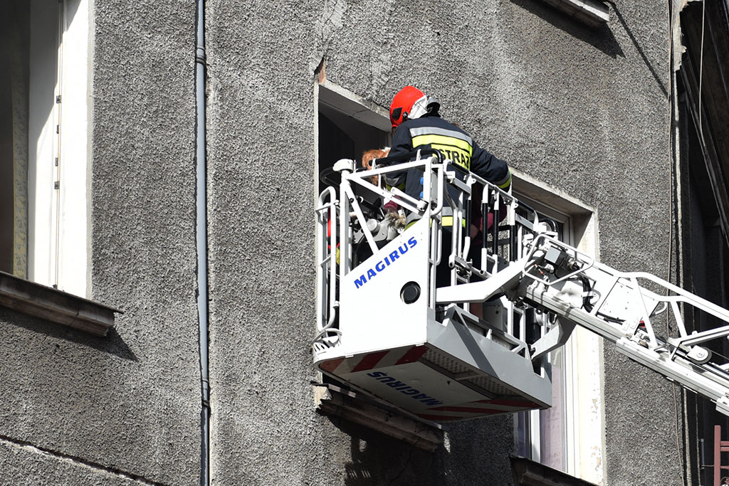 Straż ewakuowała dziewczynkę i jej psa z płonącego mieszkania