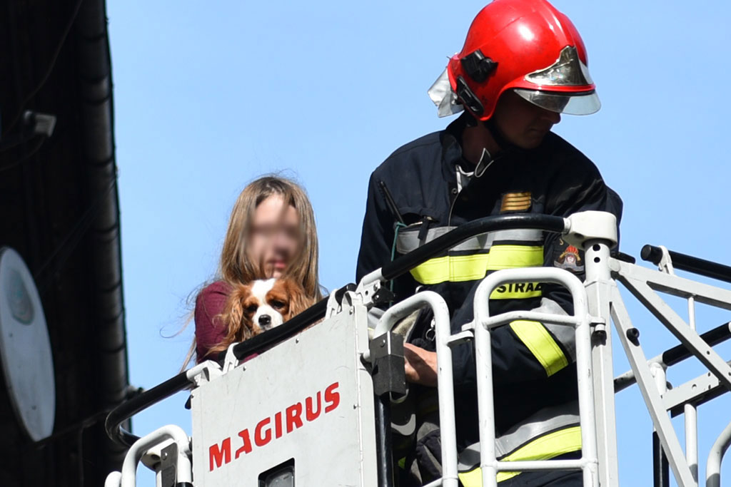 Straż ewakuowała dziewczynkę i jej psa z płonącego mieszkania