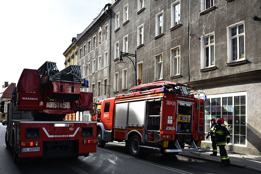 Straż ewakuowała dziewczynkę i jej psa z płonącego mieszkania