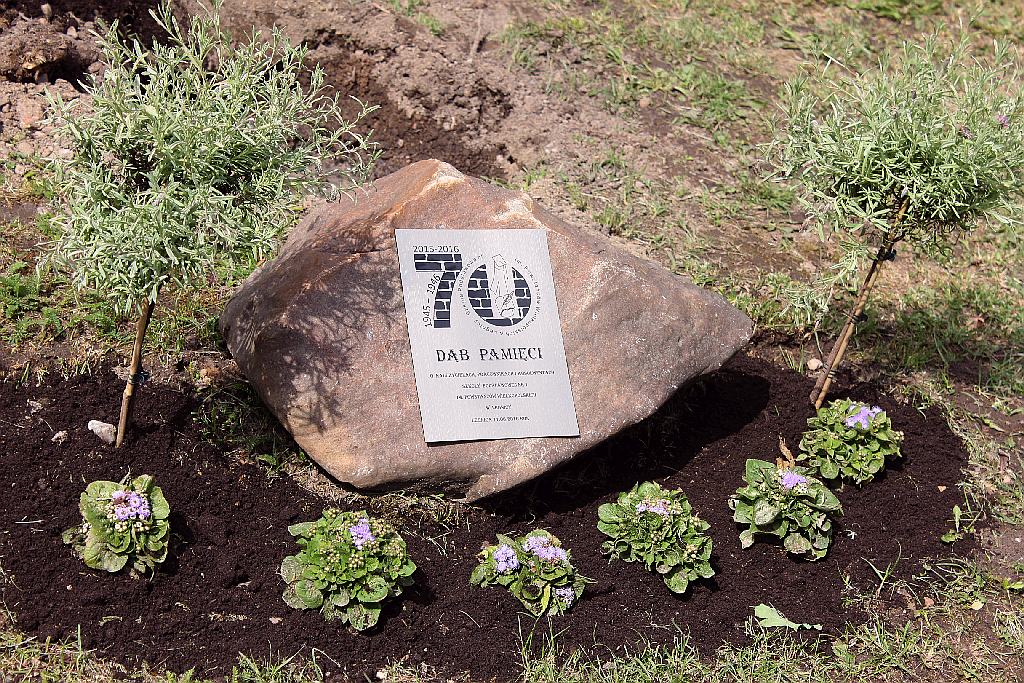 Drugi dzień jubileuszu 70 - lecia Szkoły Podstawowej nr 1