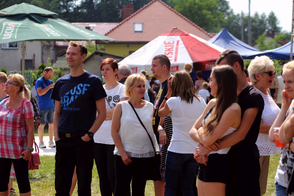 Festynem zakończył się plener rzeźbiarski w Głuchowicach