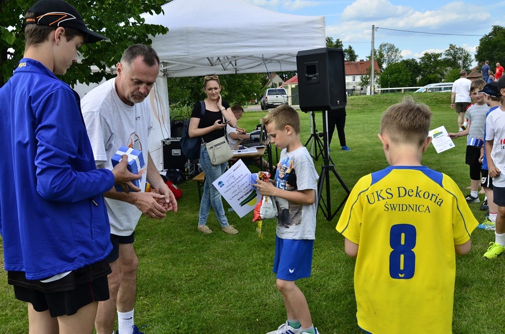 W Siedliskach grali w siatkówkę na boiskach trawiastych