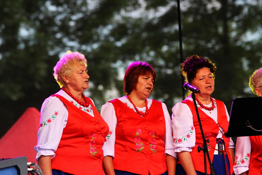 Mieszkańcy gminy Legnickie Pole bawili się na „Henrykaliach”