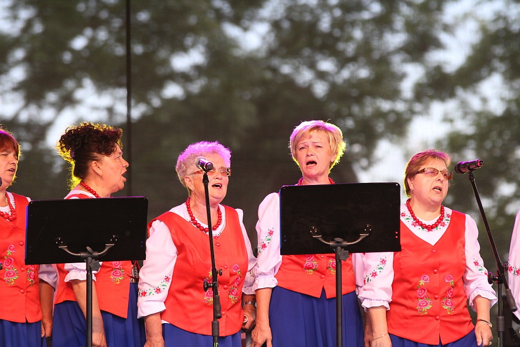 Mieszkańcy gminy Legnickie Pole bawili się na „Henrykaliach”