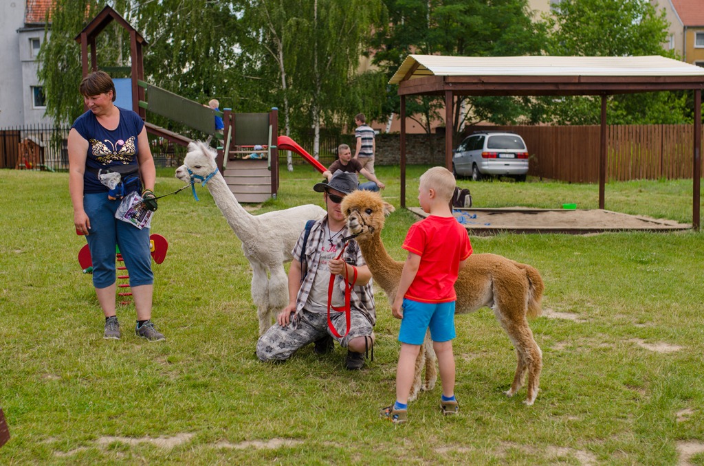 Otwórz Serce zorganizowało festyn z okazji Dnia Dziecka