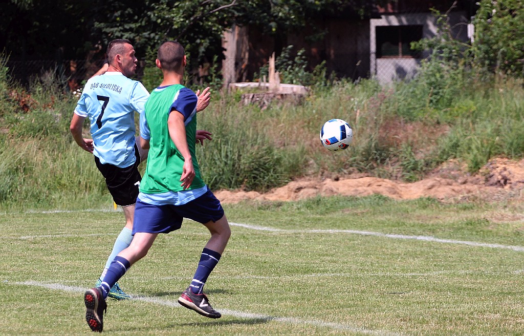 Drużyna Dębu Siedliska wygrała turniej im J.Lewandowskiego.
