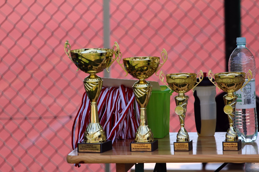 Drużyna Dębu Siedliska wygrała turniej im J.Lewandowskiego.
