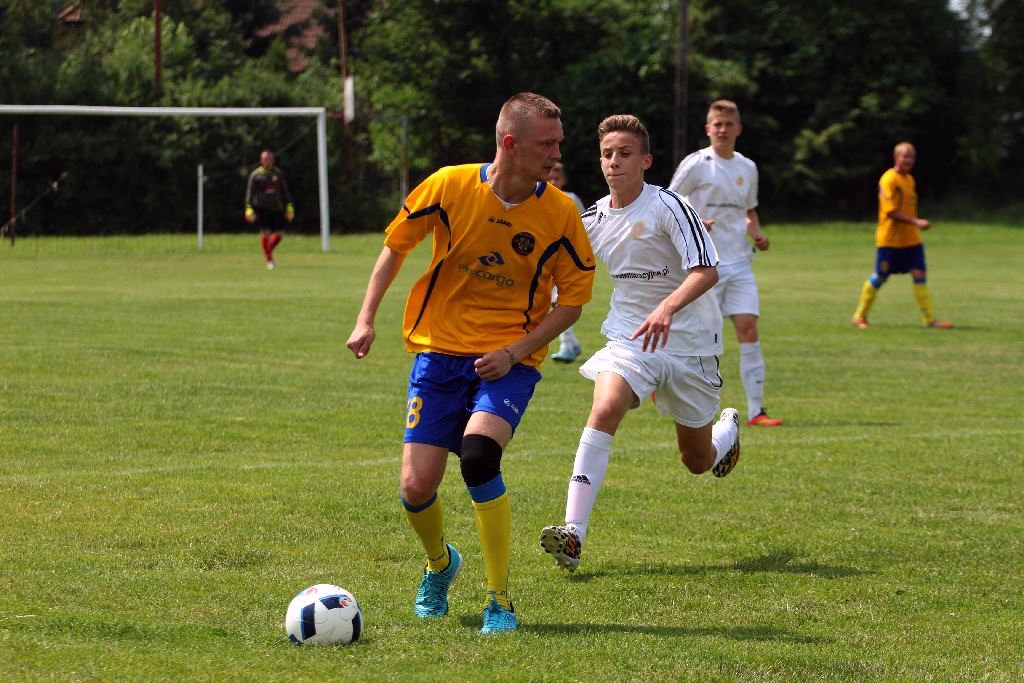 Drużyna Dębu Siedliska wygrała turniej im J.Lewandowskiego.
