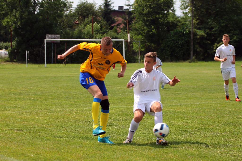 Drużyna Dębu Siedliska wygrała turniej im J.Lewandowskiego.
