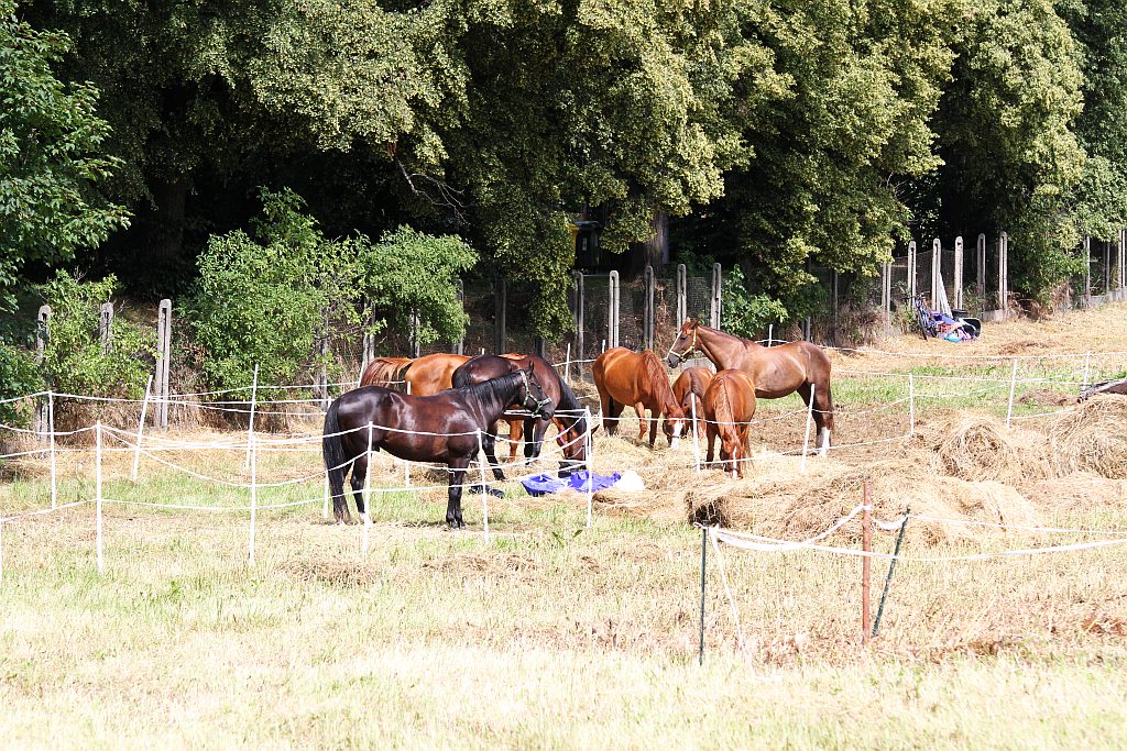 Zawodnicy trenują przed sobotnimi zawodami w łucznictwie