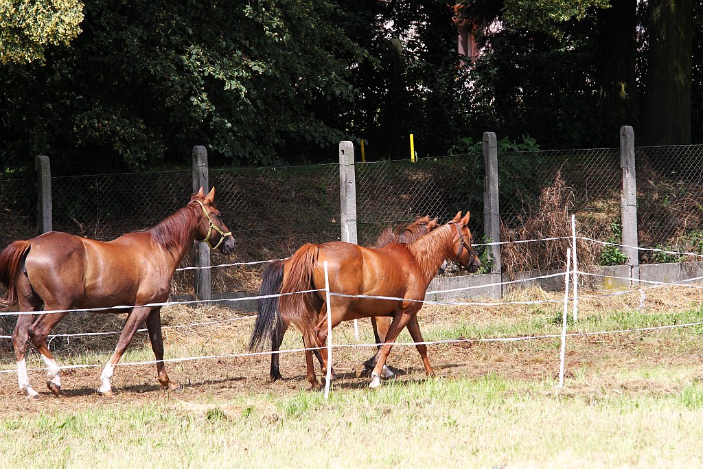 Zawodnicy trenują przed sobotnimi zawodami w łucznictwie