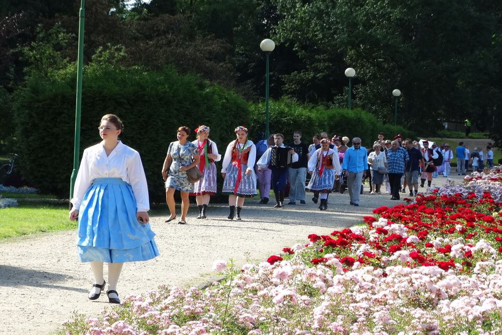 Barwny korowód folklorystyczny przeszedł przez Legnicę