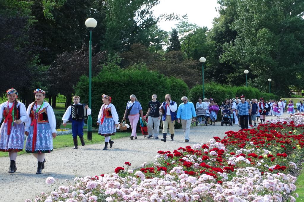 Barwny korowód folklorystyczny przeszedł przez Legnicę