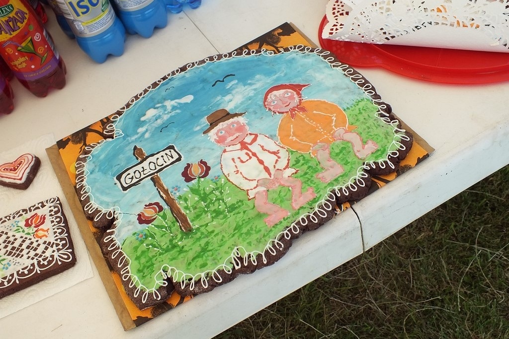 Mieszkańcy gminy Chojnów sportowo odpoczywali w  Michowie