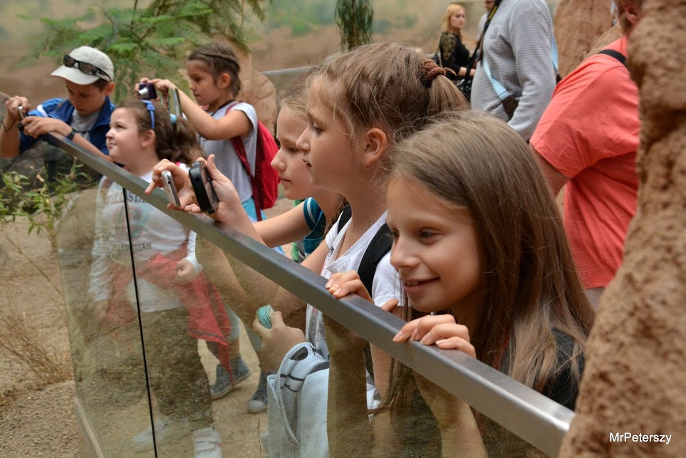 Wycieczka dzieci do wrocławskiego ogrodu zoologicznego