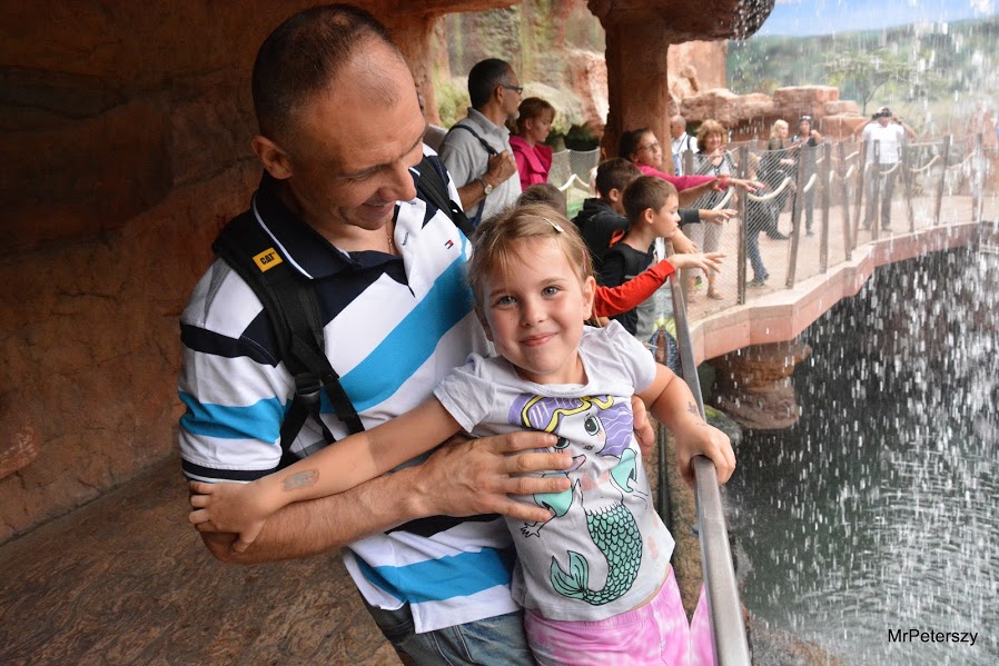 Wycieczka dzieci do wrocławskiego ogrodu zoologicznego