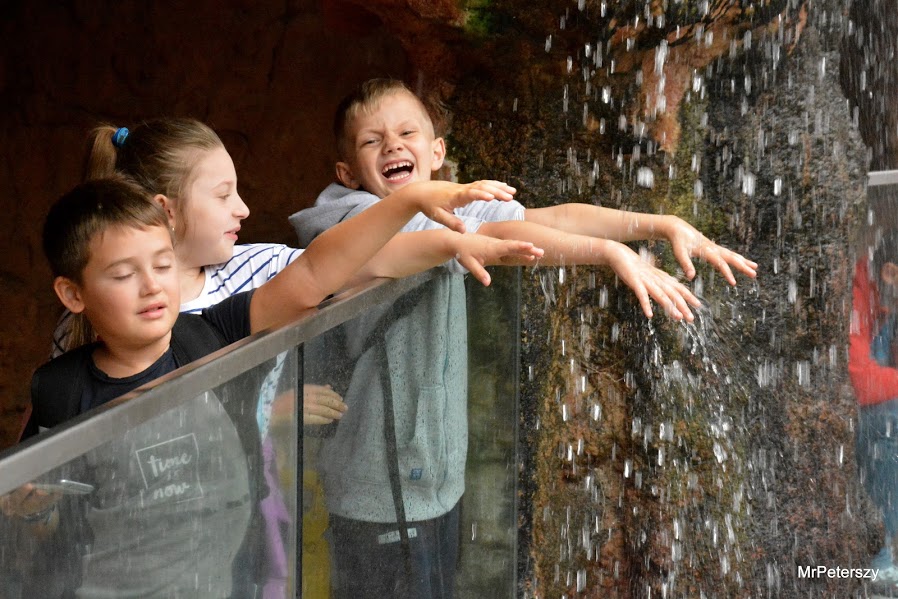 Wycieczka dzieci do wrocławskiego ogrodu zoologicznego
