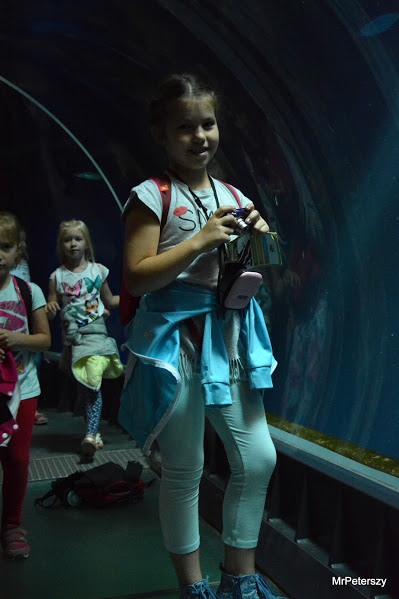 Wycieczka dzieci do wrocławskiego ogrodu zoologicznego