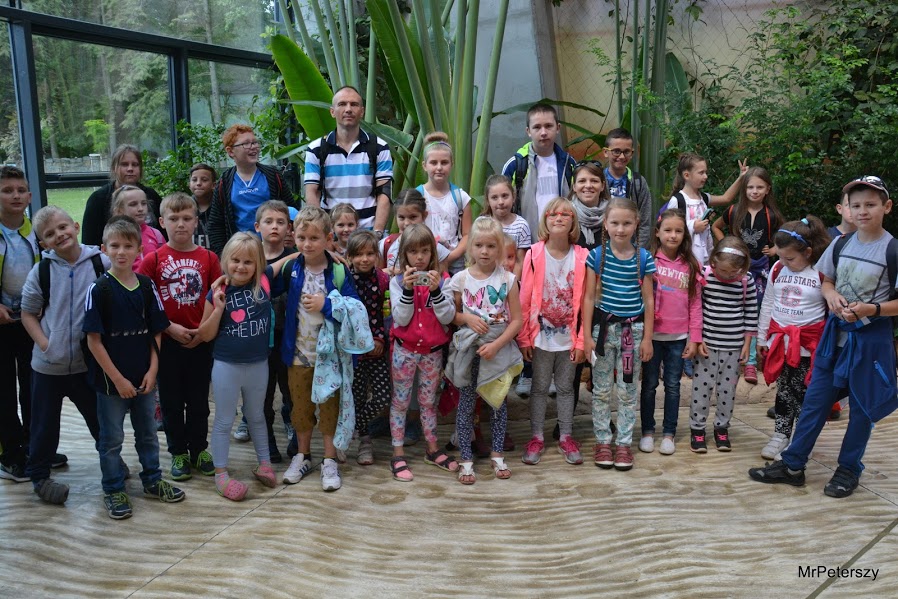 Wycieczka dzieci do wrocławskiego ogrodu zoologicznego