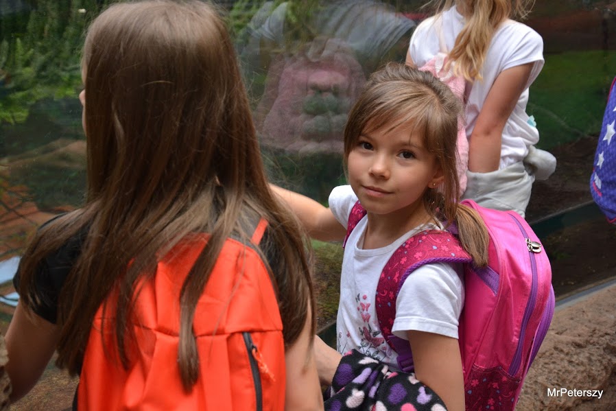 Wycieczka dzieci do wrocławskiego ogrodu zoologicznego