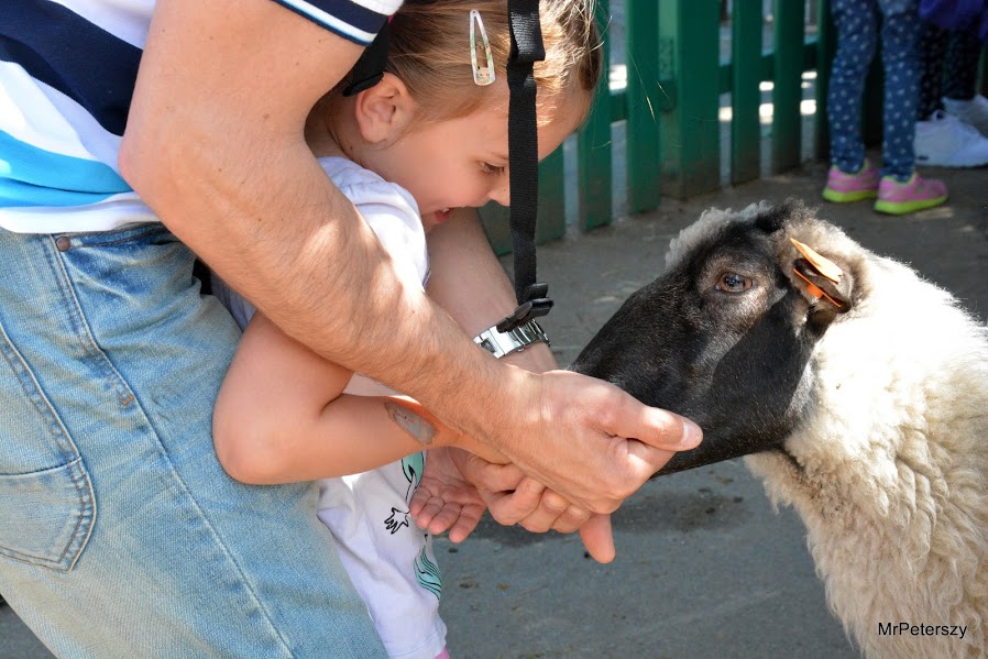 Wycieczka dzieci do wrocławskiego ogrodu zoologicznego