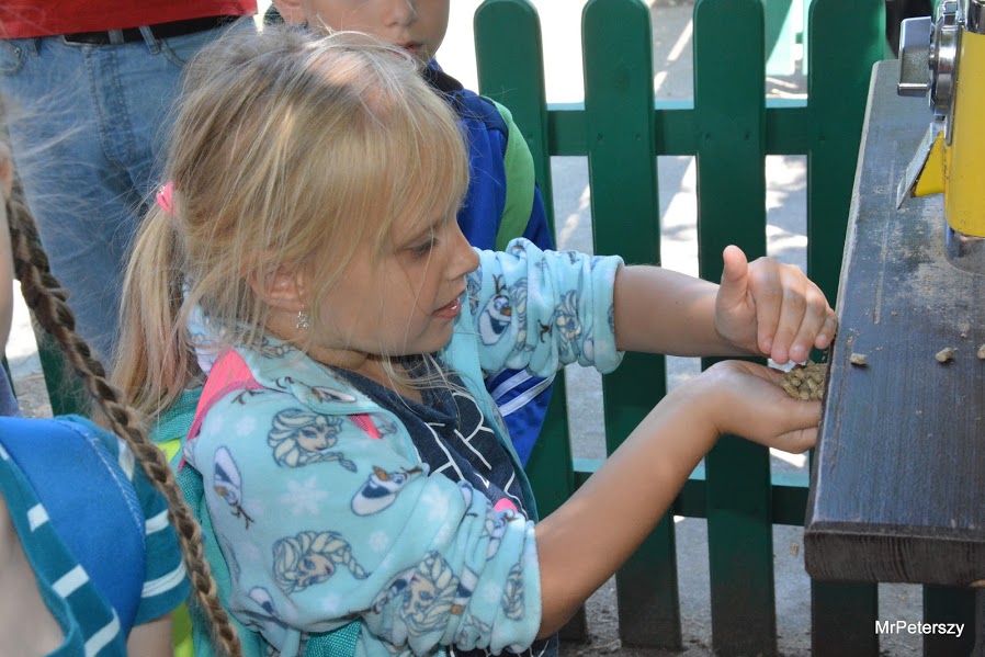 Wycieczka dzieci do wrocławskiego ogrodu zoologicznego
