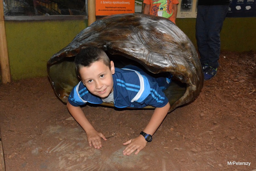 Wycieczka dzieci do wrocławskiego ogrodu zoologicznego