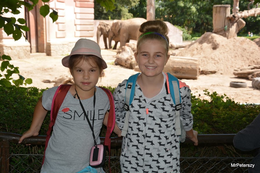 Wycieczka dzieci do wrocławskiego ogrodu zoologicznego