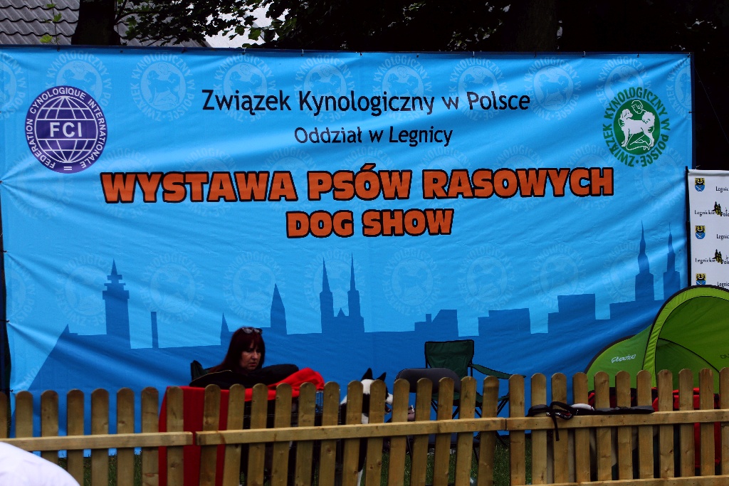 W Legnickim Polu odbyła się wystawa psów myśliwskich
