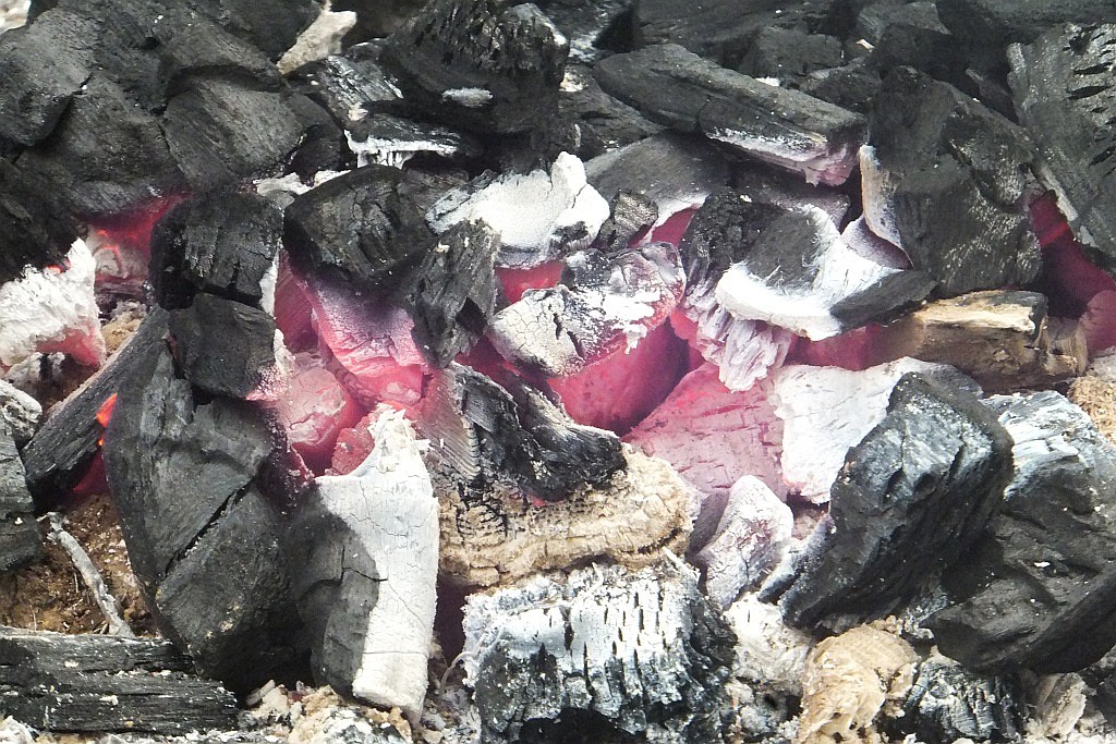 Wspólne grillowanie seniorów w Domu Dziennego Pobytu