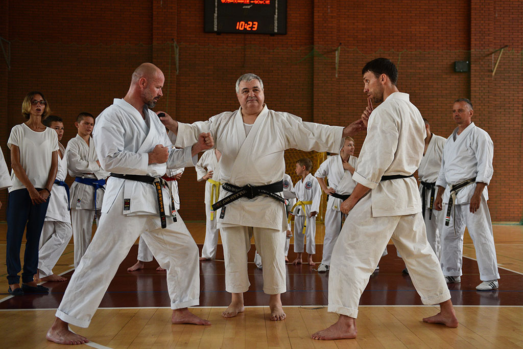 W Legnicy odbył się letni staż karate z Giuseppe Beghetto