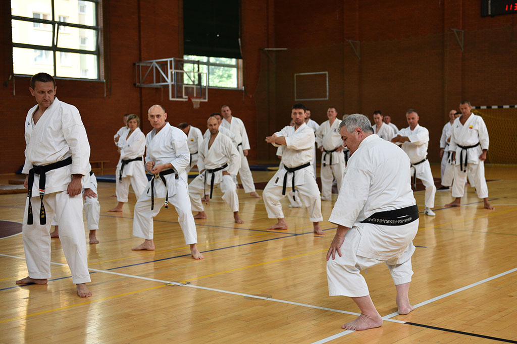 W Legnicy odbył się letni staż karate z Giuseppe Beghetto