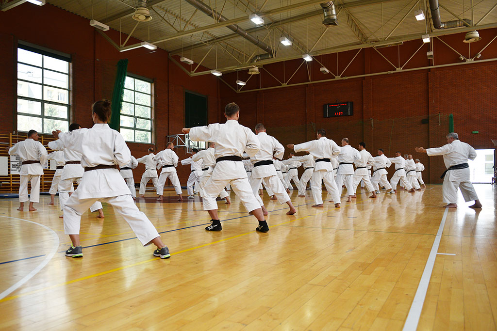 W Legnicy odbył się letni staż karate z Giuseppe Beghetto