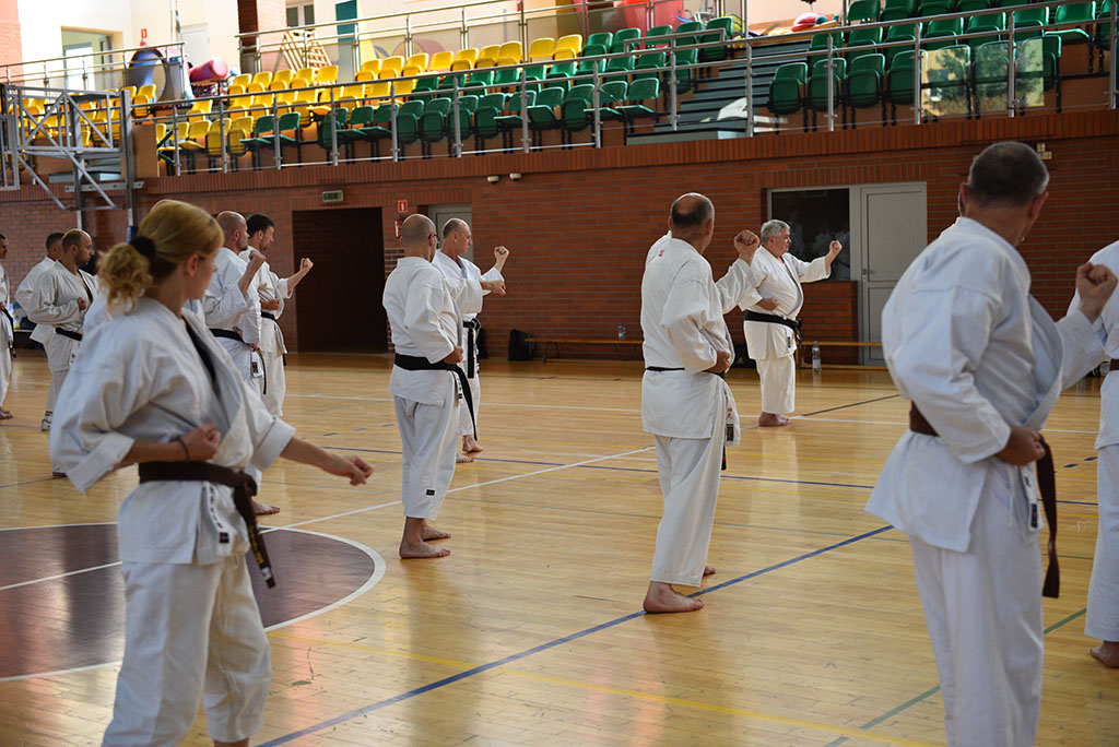 W Legnicy odbył się letni staż karate z Giuseppe Beghetto