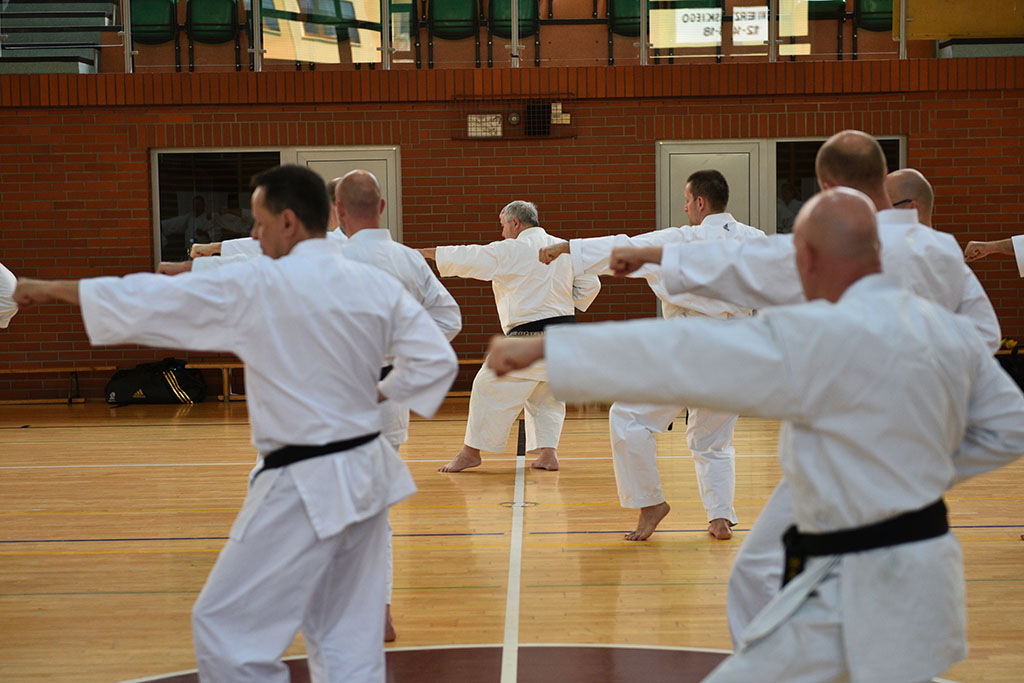 W Legnicy odbył się letni staż karate z Giuseppe Beghetto