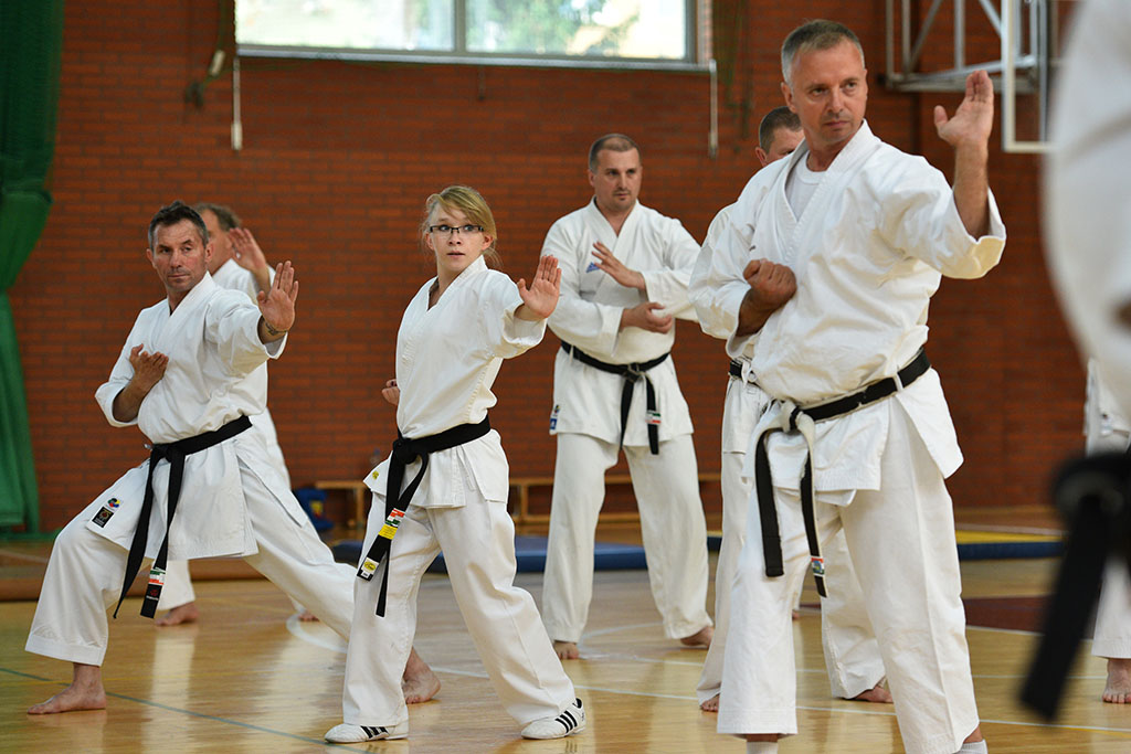 W Legnicy odbył się letni staż karate z Giuseppe Beghetto