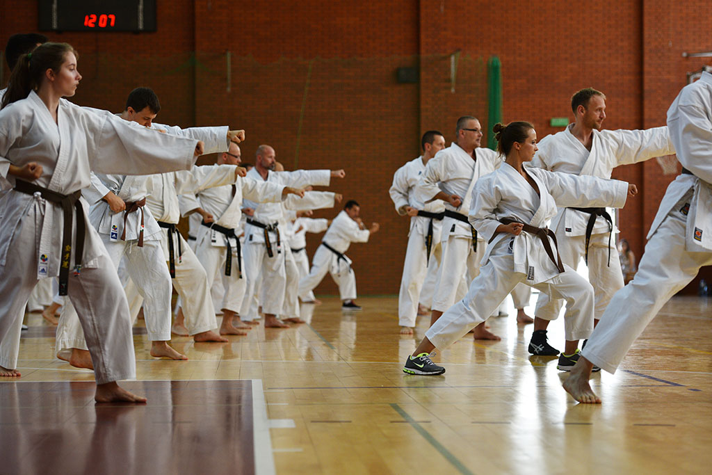 W Legnicy odbył się letni staż karate z Giuseppe Beghetto