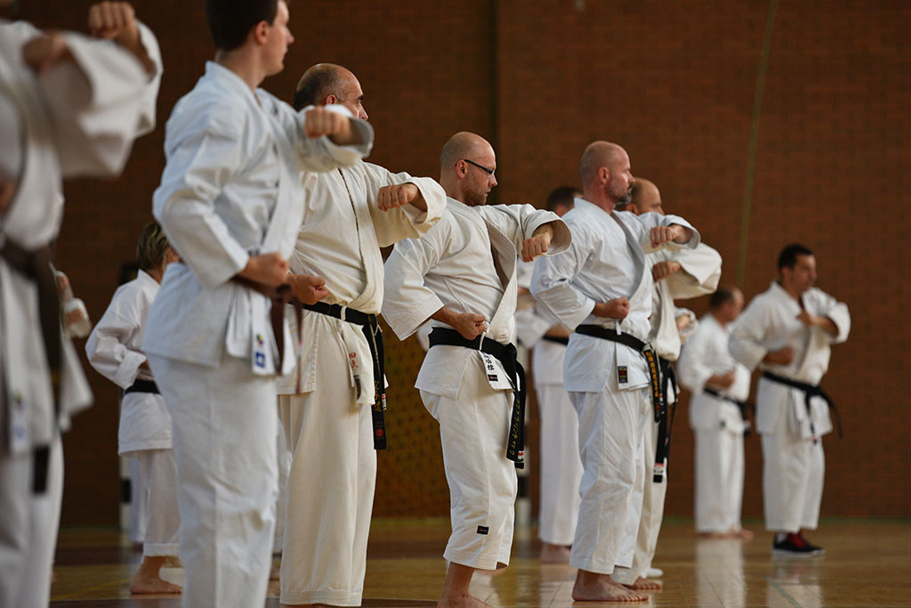W Legnicy odbył się letni staż karate z Giuseppe Beghetto