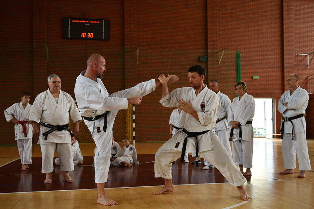 W Legnicy odbył się letni staż karate z Giuseppe Beghetto