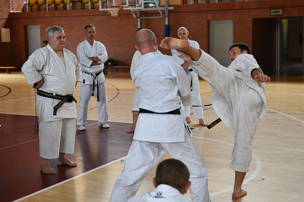 W Legnicy odbył się letni staż karate z Giuseppe Beghetto