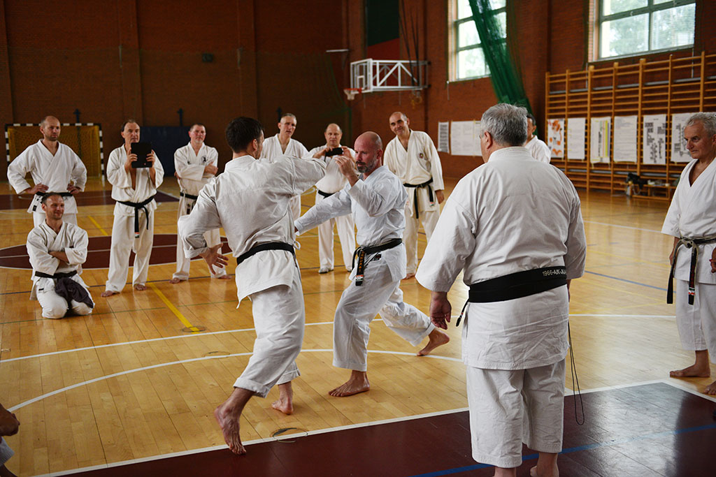 W Legnicy odbył się letni staż karate z Giuseppe Beghetto