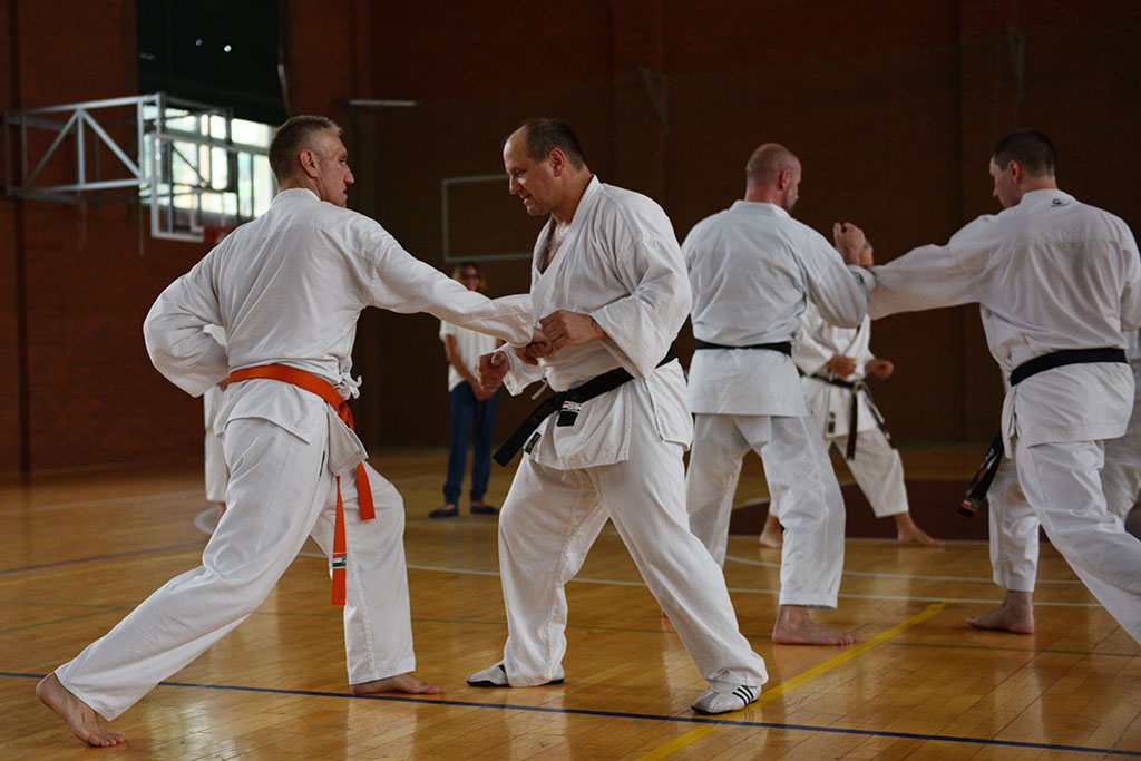 W Legnicy odbył się letni staż karate z Giuseppe Beghetto