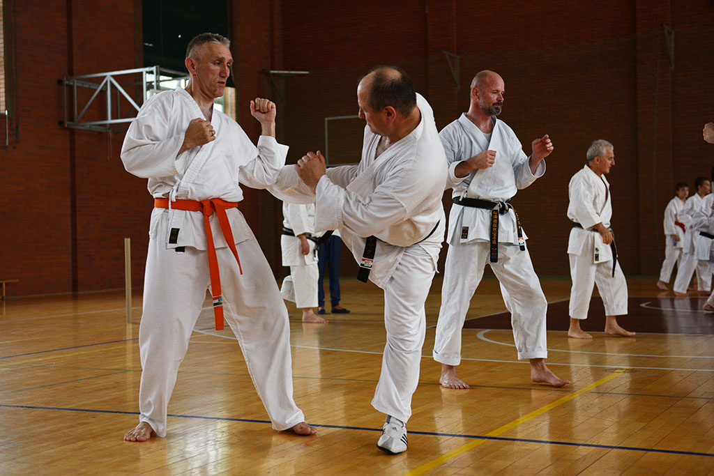 W Legnicy odbył się letni staż karate z Giuseppe Beghetto