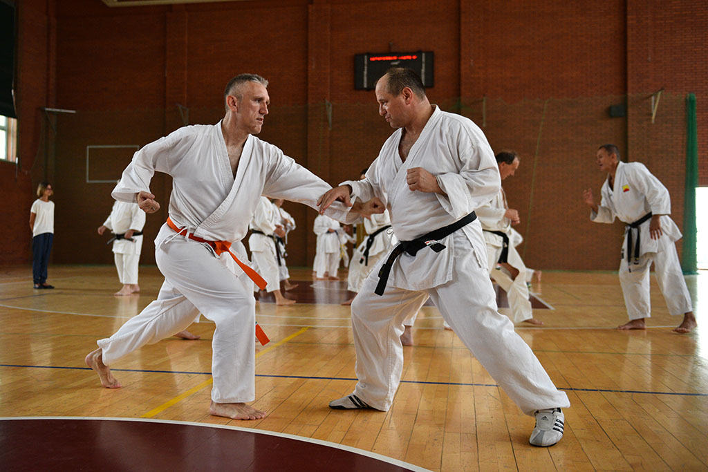 W Legnicy odbył się letni staż karate z Giuseppe Beghetto
