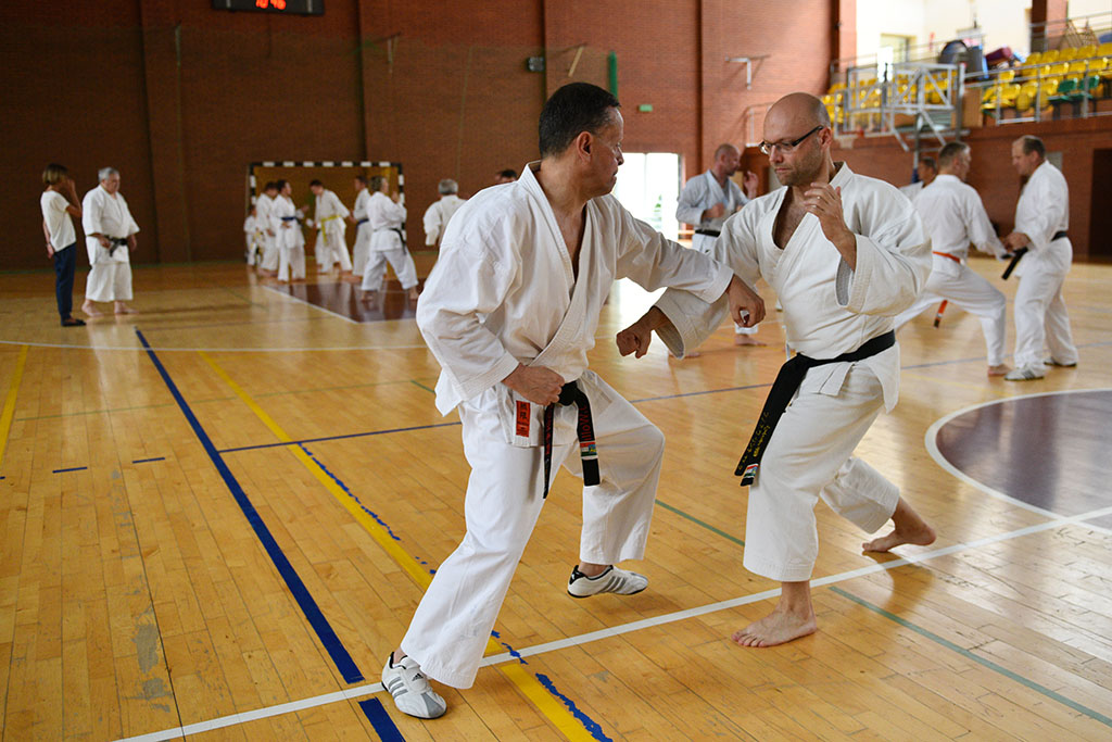W Legnicy odbył się letni staż karate z Giuseppe Beghetto
