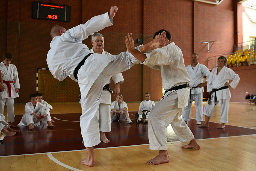 W Legnicy odbył się letni staż karate z Giuseppe Beghetto