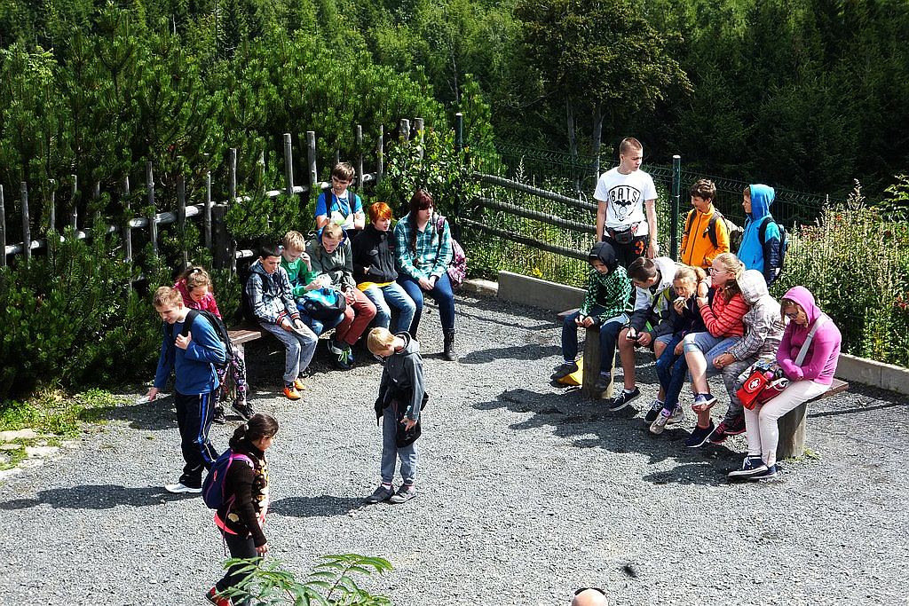 Podopieczni TPD wypoczywają na kolonii letniej w górach