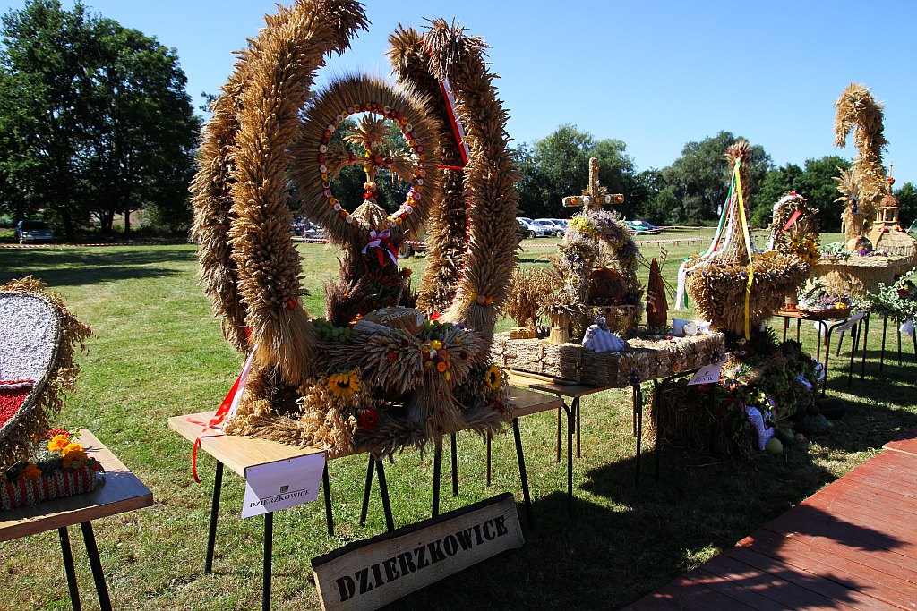 Mieszkańcy gminy Ruja bawią sie na dożynkach w Tyńcu