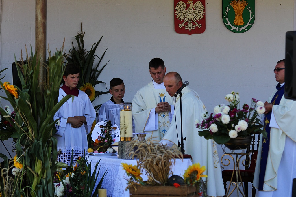 Mieszkańcy gminy Ruja bawią sie na dożynkach w Tyńcu