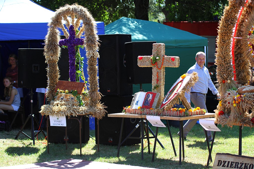 Mieszkańcy gminy Ruja bawią sie na dożynkach w Tyńcu